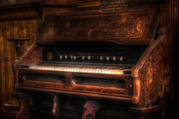 organ-16