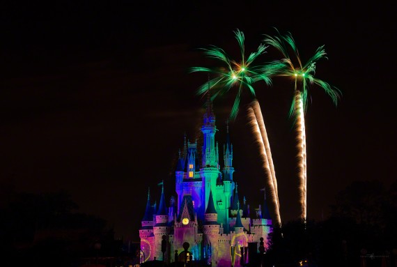 palmtreeDisney