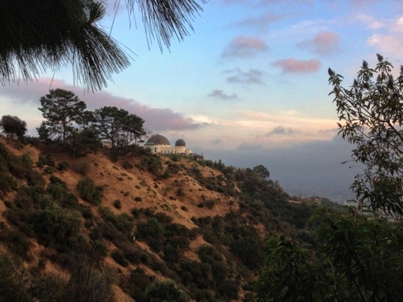 20130504-195331.jpg